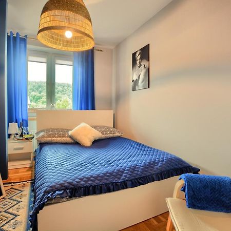 Apartamenty Bieszczadzki Aniol Ustrzyki Dolne Luaran gambar