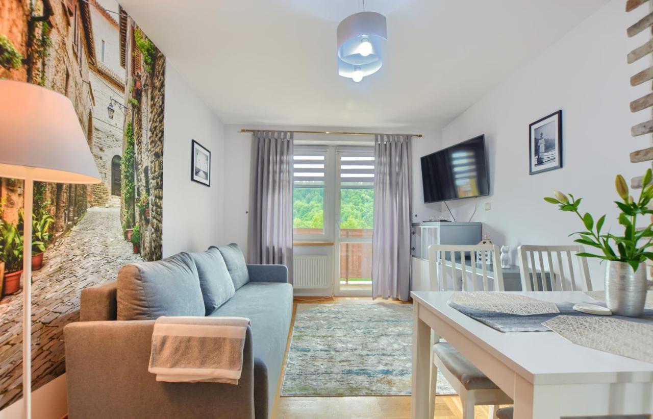 Apartamenty Bieszczadzki Aniol Ustrzyki Dolne Luaran gambar