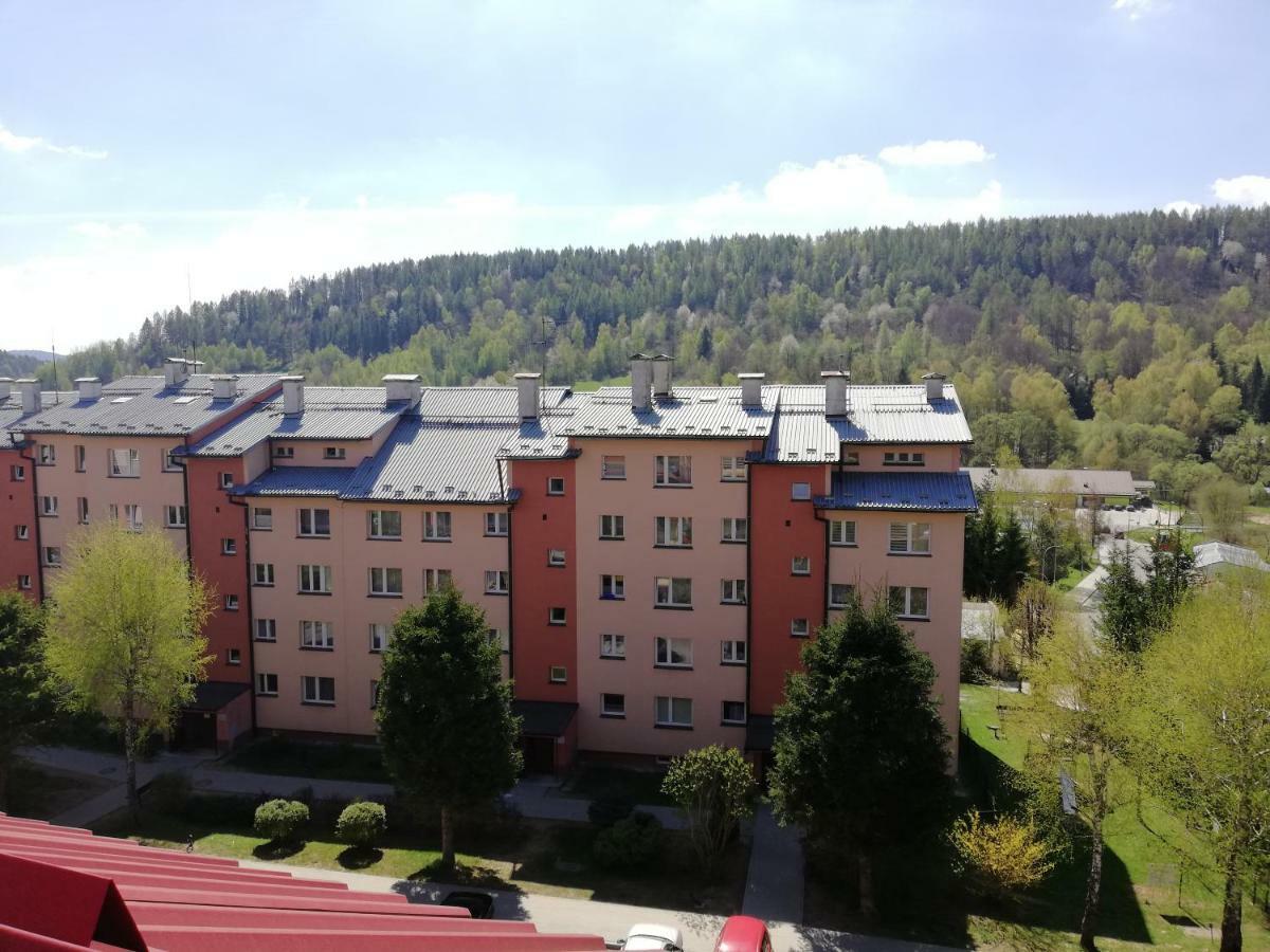 Apartamenty Bieszczadzki Aniol Ustrzyki Dolne Luaran gambar